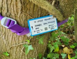 Jasad Eril Ditemukan Guru Perempuan Sekolah Dasar