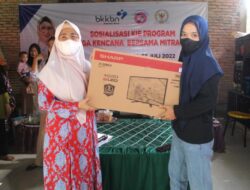 Turunkan Stunting, Andi Ruskati Sosialisasikan Pencegahan Anemia Bagi Remaja Putri