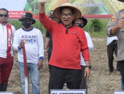 Hadapi Ancaman Krisis, Pj Gubernur Sulbar Canangkan Gerakan Merdeka Pangan