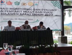 Sudah tidak Ditemukan Kasus PMK Hewan Ternak di Sulbar