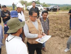 Kembangkan Benih Induk Hortikultura di Luyo Seluas 35 Hektar