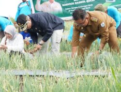 Wamentan Akan Terus Kembangkan Food Estate di Majene