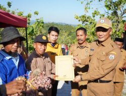 Dukung Budidaya Bawang Merah di Polman, Pj Gubernur Janji Anggarkan Akses Jalan