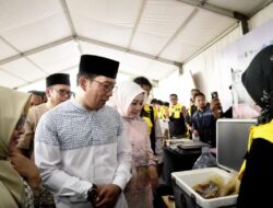 Program Petani Milenial, Solusi Pertanian Berkelanjutan