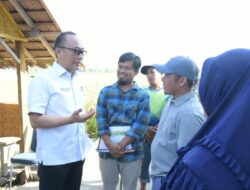 Zudan Dorong Balai Benih Menjadi Pusat Inovasi Pertanian Sulbar