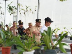 Pj Gubernur Sulbar Dorong Konservasi Anggrek Skala Besar di Mamasa