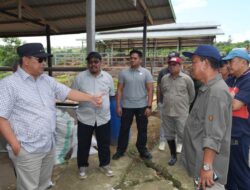 UPT Beroangin Polman Akan Dijadikan Pusat Peternakan Modern di Sulbar