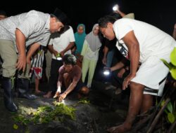 Pj Gubernur Sulbar Tebar Kepiting Bakau di Sumare Mamuju