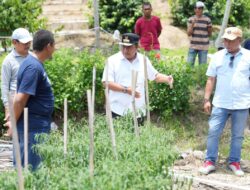 Pj Gubernur Dorong Sulbar Miliki Brand Produk Perkebunan