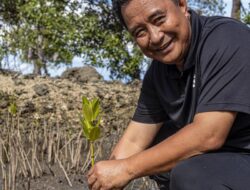 Ekonomi Sulbar Triwulan 2024 Tumbuh 6,65 Persen, Pj Gubernur Optimis Program Swasembada