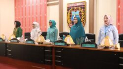 Ketua TP PKK Sulbar Tekankan Peran Ibu Cegah Stunting