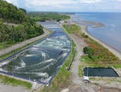Usaha Tambak Diminta Lengkapi Sertifikasi CBIB Budidaya Udang Vaname Berkelanjutan