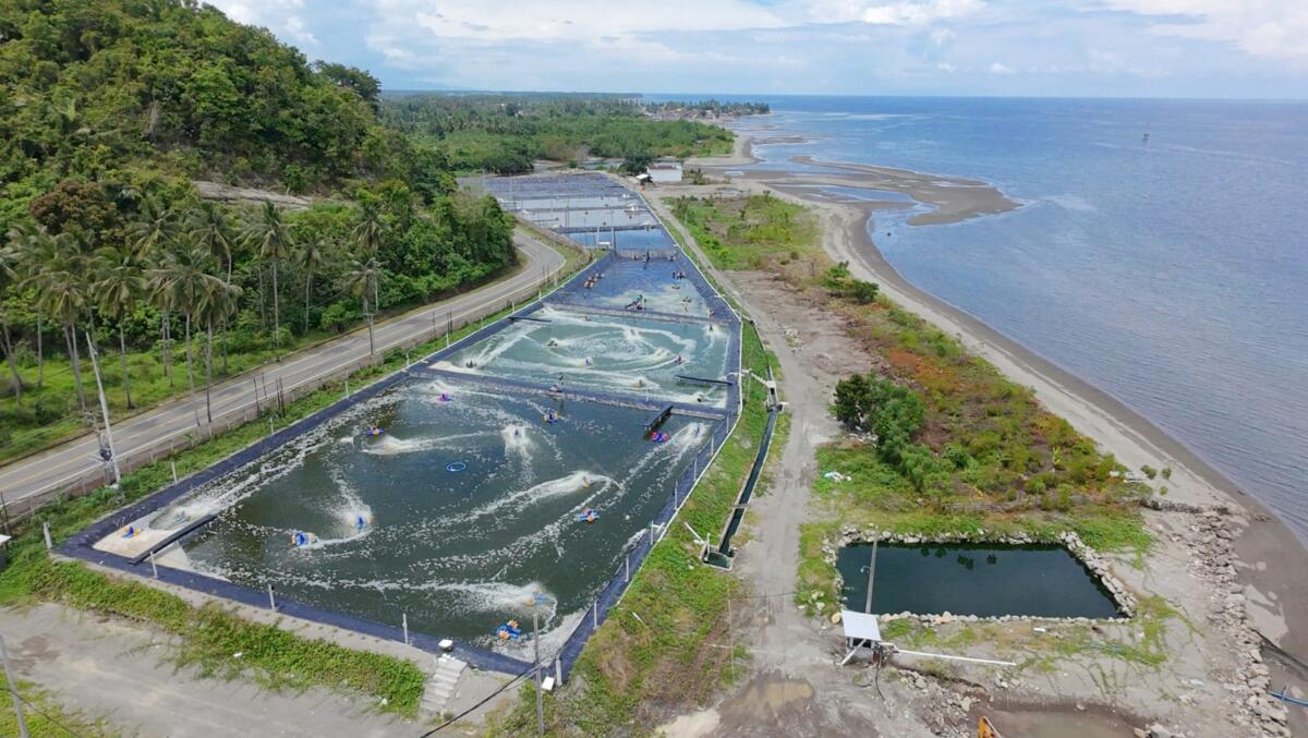 Usaha Tambak Diminta Lengkapi Sertifikasi CBIB Budidaya Udang Vaname Berkelanjutan